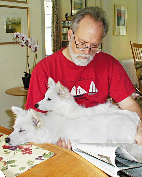 Henry van dyke an essay called a parable of immortality picture